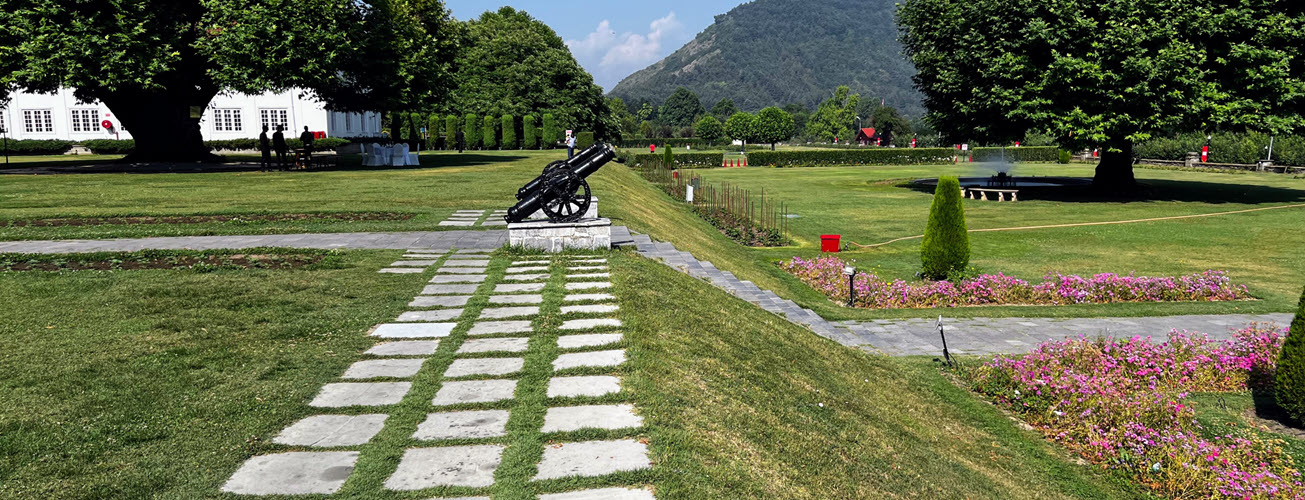 Under the Chinar - Echoes of Dialogue and Destiny